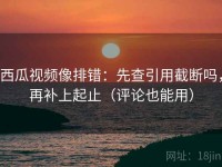 西瓜视频像排错：先查引用截断吗，再补上起止（评论也能用）