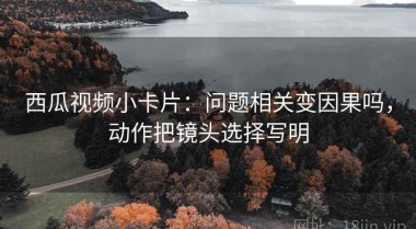 西瓜视频小卡片：问题相关变因果吗，动作把镜头选择写明