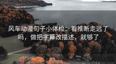 风车动漫句子小体检：看推断走远了吗，做把字幕改描述，就够了